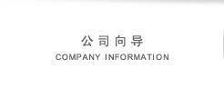 company information company information