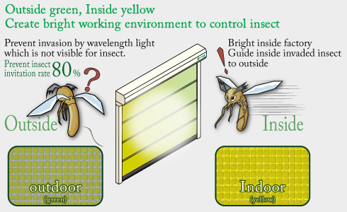 outside green, inside yellow create bright working environment to control insect