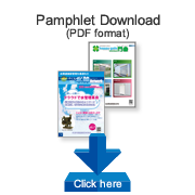 pamphlet download