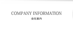 company information company information